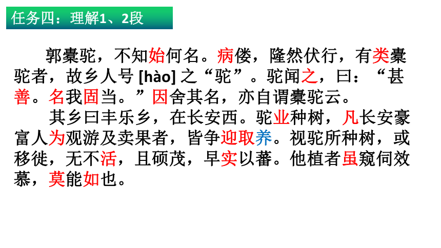 统编版高中语文选择性必修下册第三单元11.《种树郭橐驼传》课件（24张ppt）