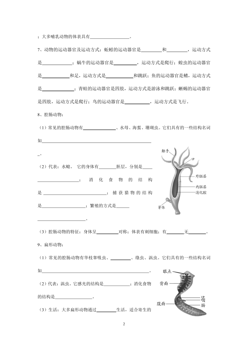 人教版2022年八年级上期复习提纲（涵盖全册重难点）