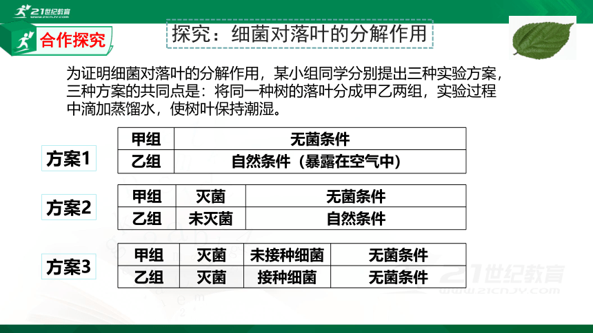 5.4.4细菌和真菌在自然界中的作用课件（共26张PPT）