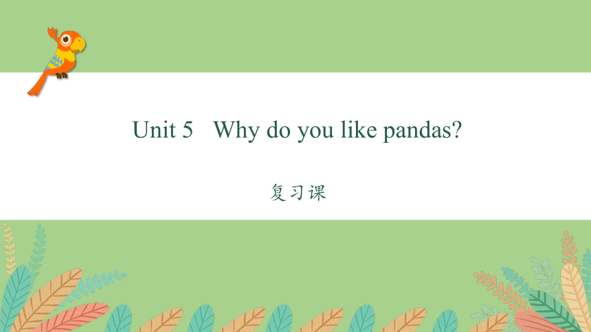Unit 5 Why do you like pandas? 单元复习课件(共44张PPT)