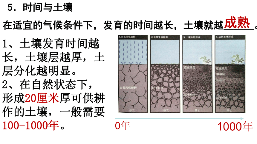 5.2土壤的形成（共32张ppt）