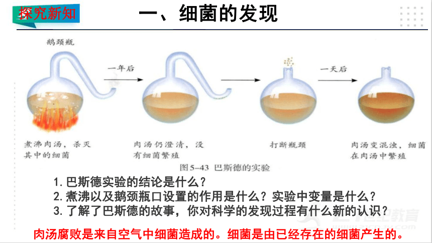 5.4.2 细菌（课件）-（共19张PPT）