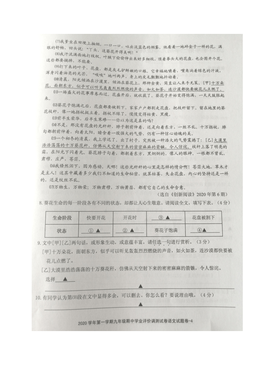 浙江省绍兴市柯桥区2020-2021学年第一学期九年级语文期中调测试题（图片版含答案）