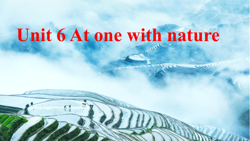 外研版（2019）  必修第一册  Unit 6 At One with Nature  Understanding ideas课件(共17张PPT)