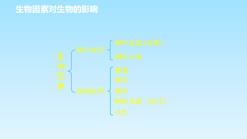 人教版七年级生物上册《第二章了解生物圈》章末复习课件(共16张PPT)