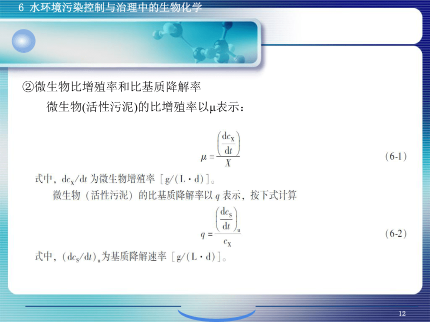 6.1污、废水生物控制与治理生物化学 课件(共38张PPT)- 《环境生物化学》同步教学（机工版·2020）