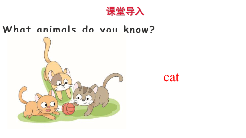 Unit 11 Small animals第一课时课件（共26张PPT）