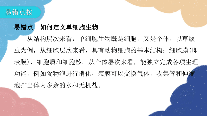 人教版生物七年级上册 2.2.4单细胞生物课件(共30张PPT)