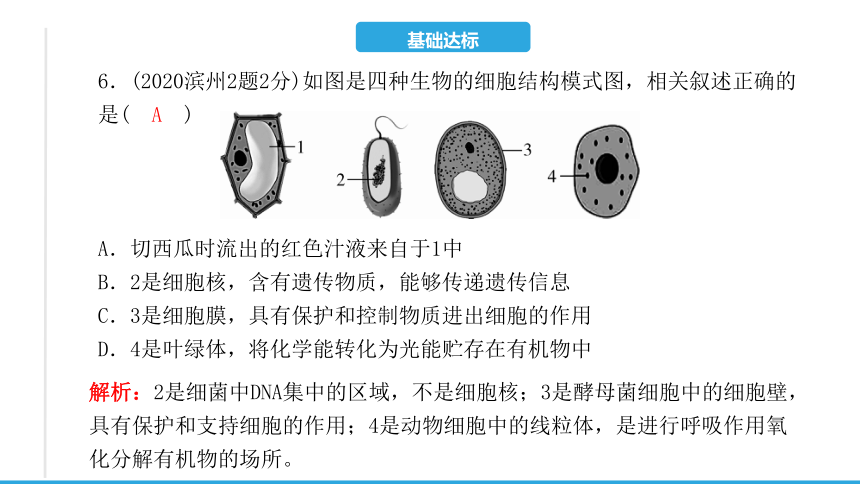 第二单元 第一章　细胞是生命活动的基本单位-2023年中考生物复习习题课件(共15张PPT)