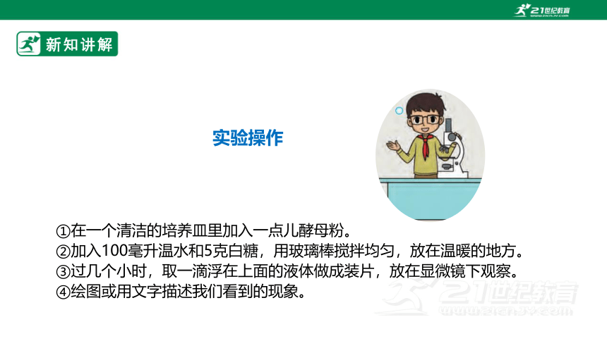 【新课标】1.2《发面的秘密》课件（29张PPT）