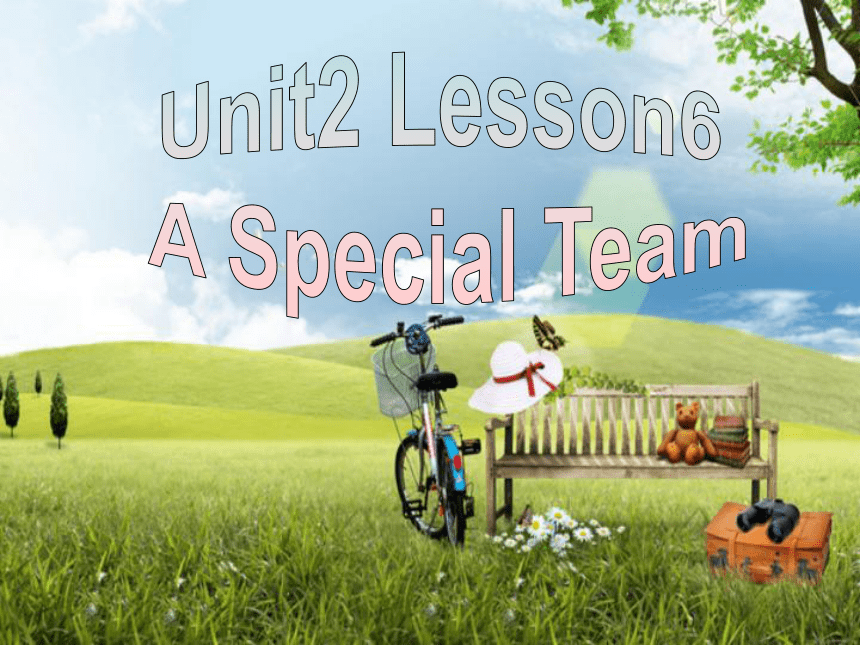 北师大版八年级上册 Unit 2 Lesson 6 A Special Team 课件 (共21张PPT)