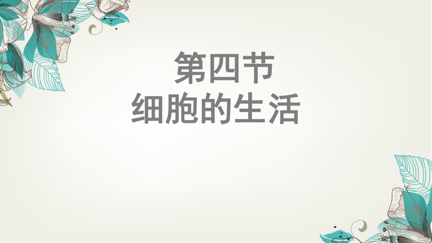 2021-2022学年人教版七年级生物上册2.1.4细胞的生活  课件(共24张PPT)