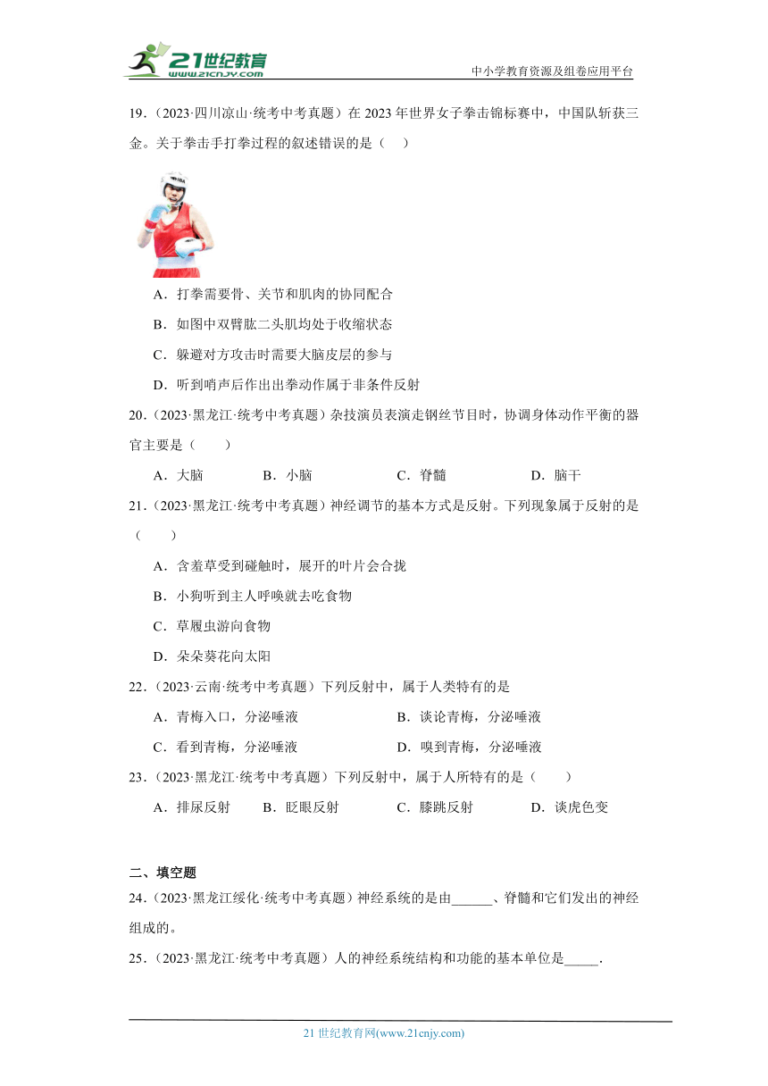 全国中考生物2023年真题分类汇编-37人体的神经调节②