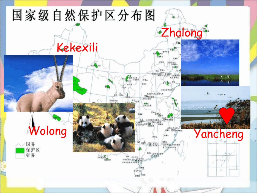 牛津译林版英语八年级上Unit 6 Bird watching integrated skills课件（27张PPT无素材）