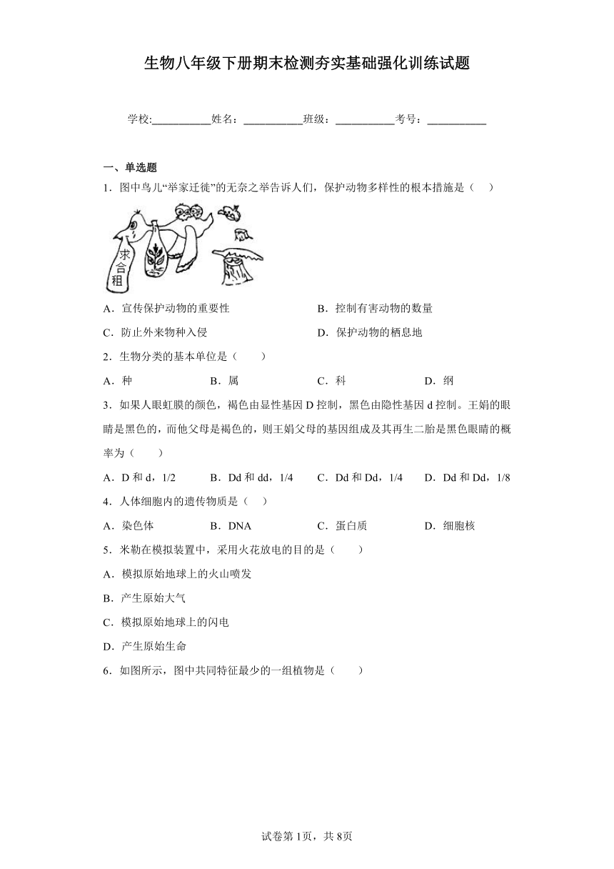 鲁教版生物八年级下册期末检测夯实基础强化训练试题3（含解析）