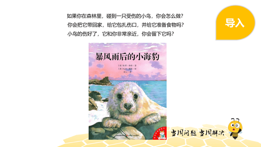 核心素养 语文二年级 【专题课程】绘本阅读：暴风雨后的小海豹 课件