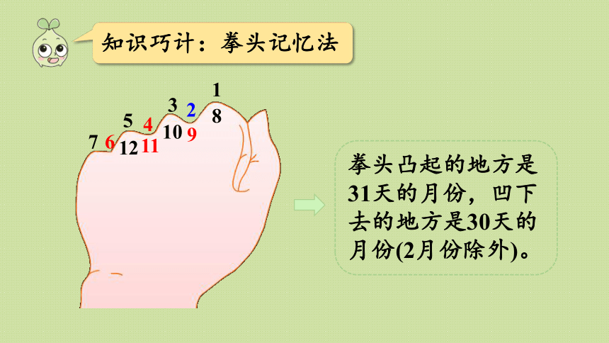 青岛版三年级数学下册 回顾整理—— 总复习 领域一 数与代数（2）  课件(共29张PPT)