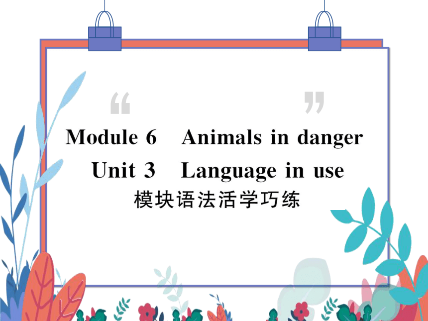 【外研版】八上 Module6 Unit3 Language in use 模块语法活学巧练 习题课件
