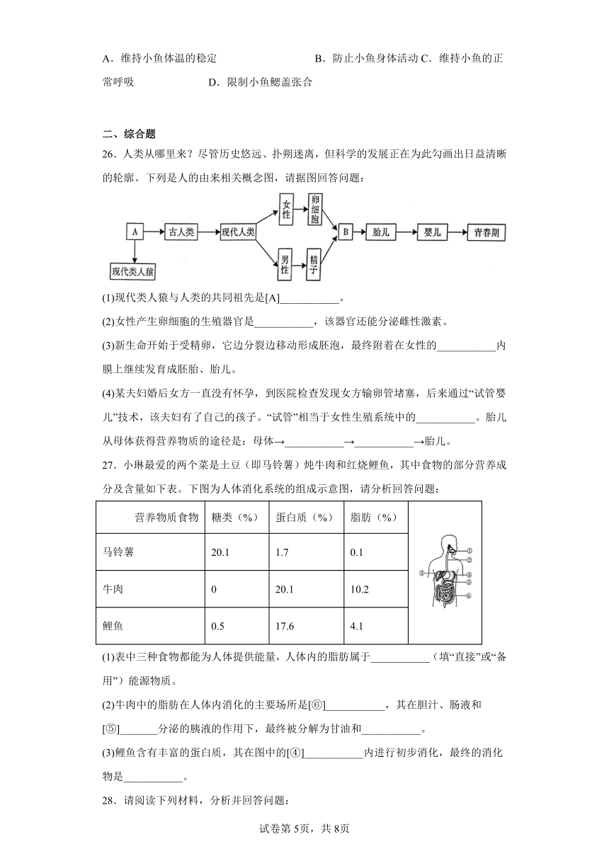 陕西省渭南市合阳县2022-2023学年七年级下学期期中生物试题（含答案）