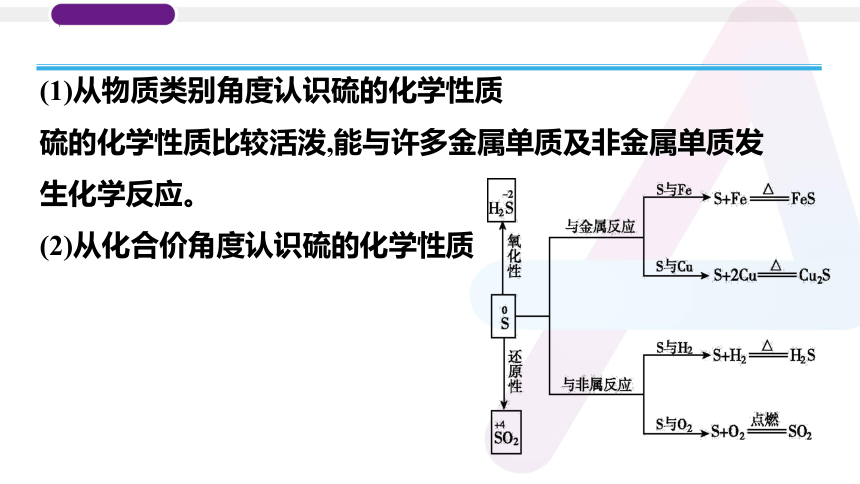 2023年普通高中化学学业水平考试学考复习——专题11　硫及其化合物（24张ppt）