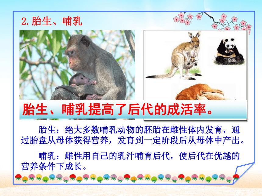 5.1.7哺乳动物课件(共28张PPT)人教版 八年级上册