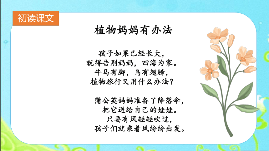 3植物妈妈有办法 课件 (共21张PPT)