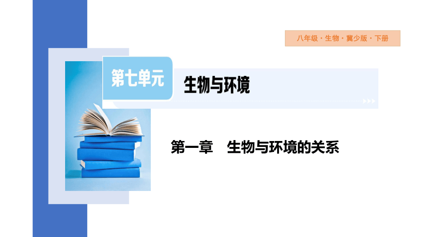 7.1.1 环境对生物的影响 第2课时 课件 (共26张PPT)2023-2024学年初中生物冀少版八年级下册