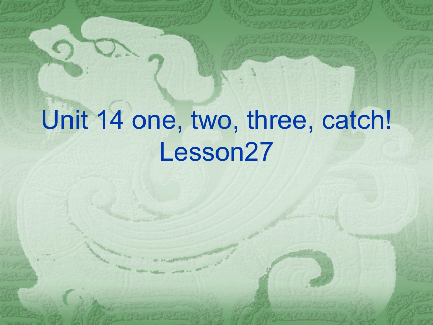 新概念英语青少版Unit14 One two three catch Lesson27((共23张PPT)