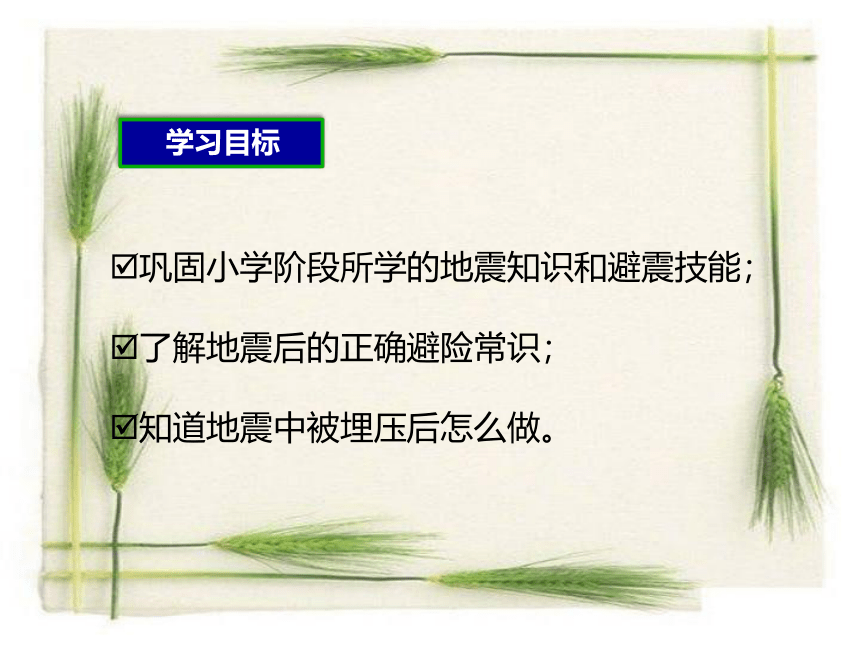 教科版八年级综合实践活动 1.探索地震 课件（25ppt）