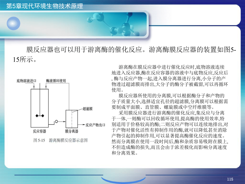 5.现代环境生物技术原理_4 课件(共35张PPT）- 《环境生物化学》同步教学（机工版·2020）