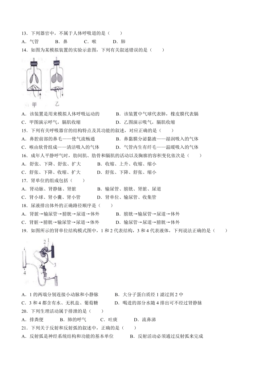 河北省张家口市桥西区2022-2023学年七年级下学期期末生物试题（北师大版）（含答案）