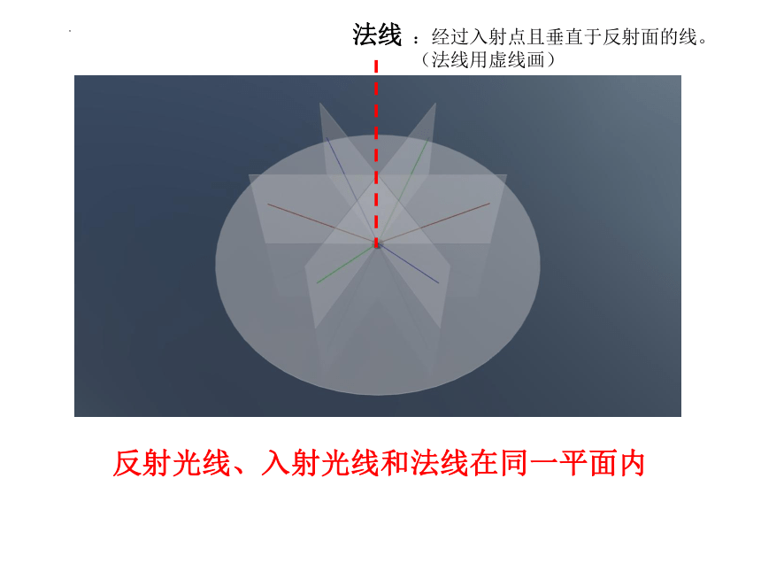 4.2 光的反射 课件 (共17张PPT) -2022-2023学年八年级物理人教版上册