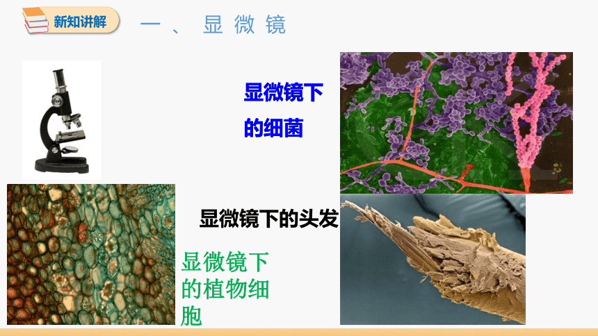 初中物理人教版八年级上册 第五章 第5节 显微镜和望远镜 同步课件 (共28张PPT)