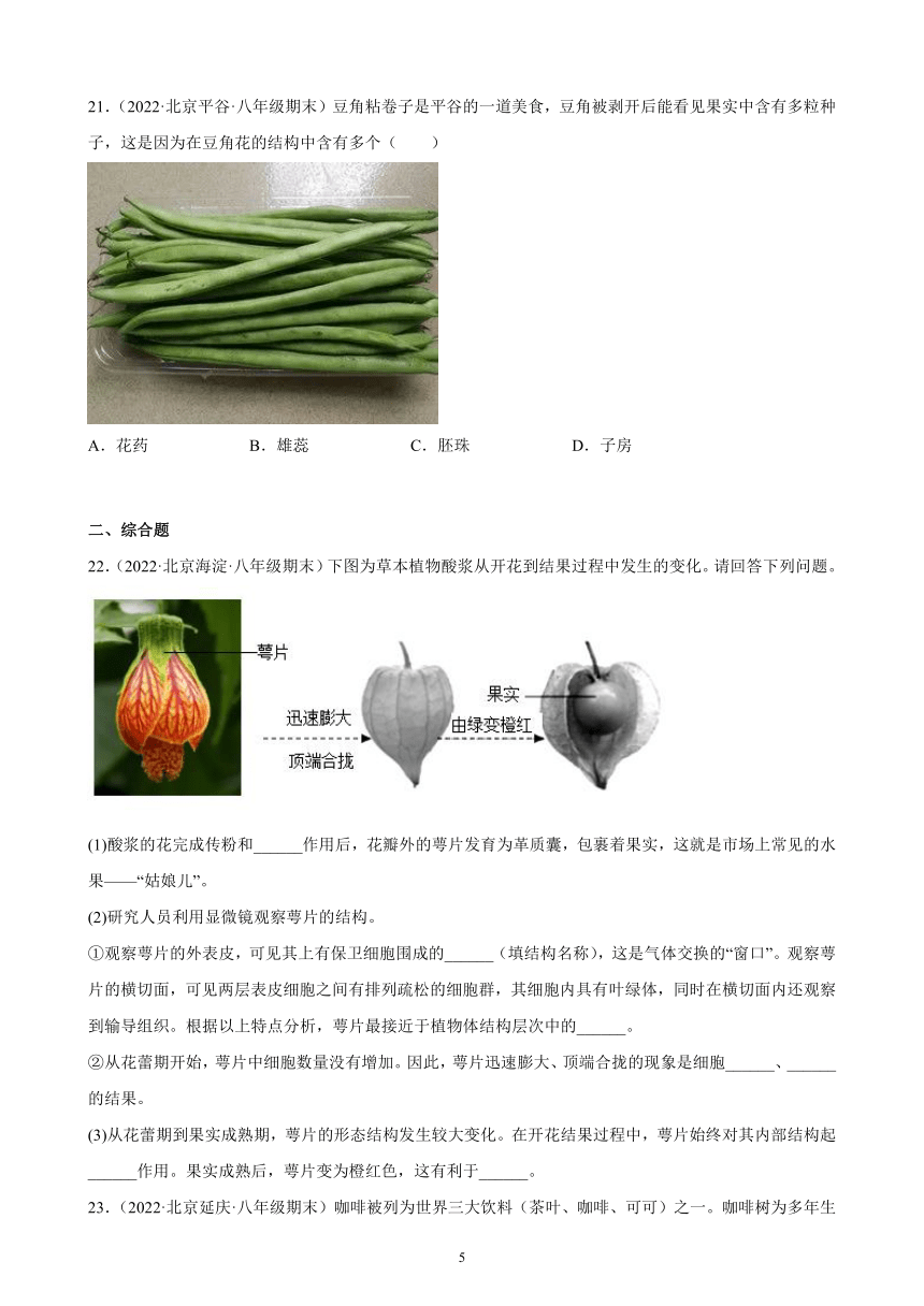 10.3 绿色开花植物的生殖和发育 期末试题选编 （含解析）2021-2022学年北京市各地京改版生物八年级上册