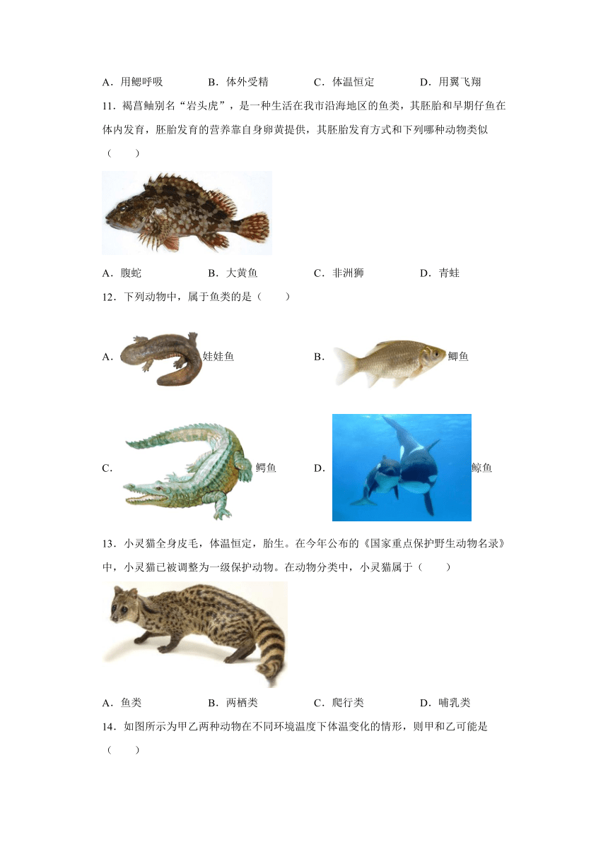 2.4 常见的动物 练习（含解析）