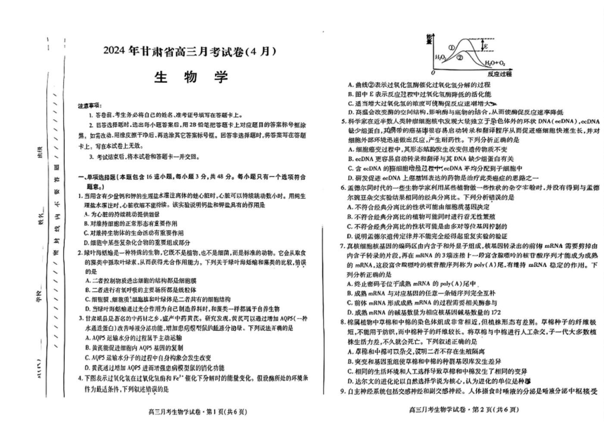 甘肃省2024届高三下学期4月二模试题 生物( PDF版,含答案)
