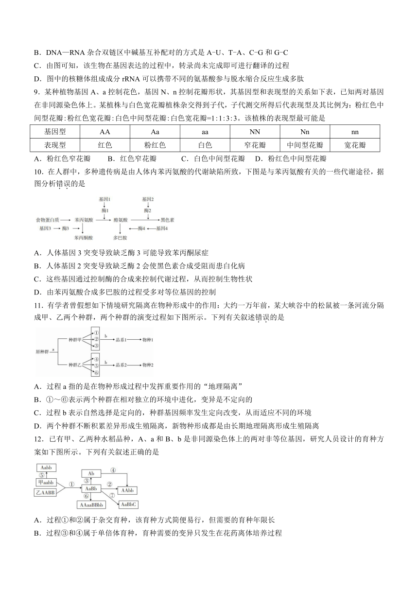 广东省汕尾市2020-2021学年高一下学期期末考试生物试题 Word版含解析