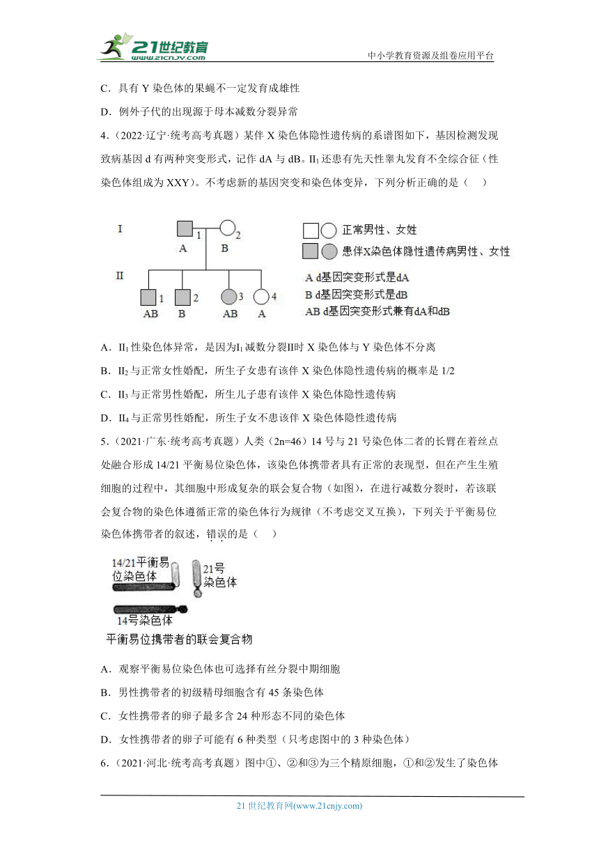 五年2018-2022高考生物真题按知识点分类汇编46-染色体变异（含解析）