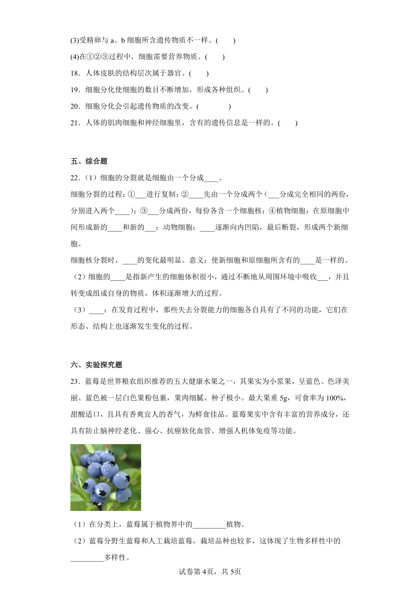 2.2.2动物体的结构层次同步练习（含答案）2022-2023学年七年级上册（人教版）