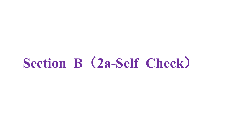 Unit 5 What are the shirts made of  Section B（2a-Self Check） 课件(共27张PPT) 2023-2024学年人教版英语九年级全一册