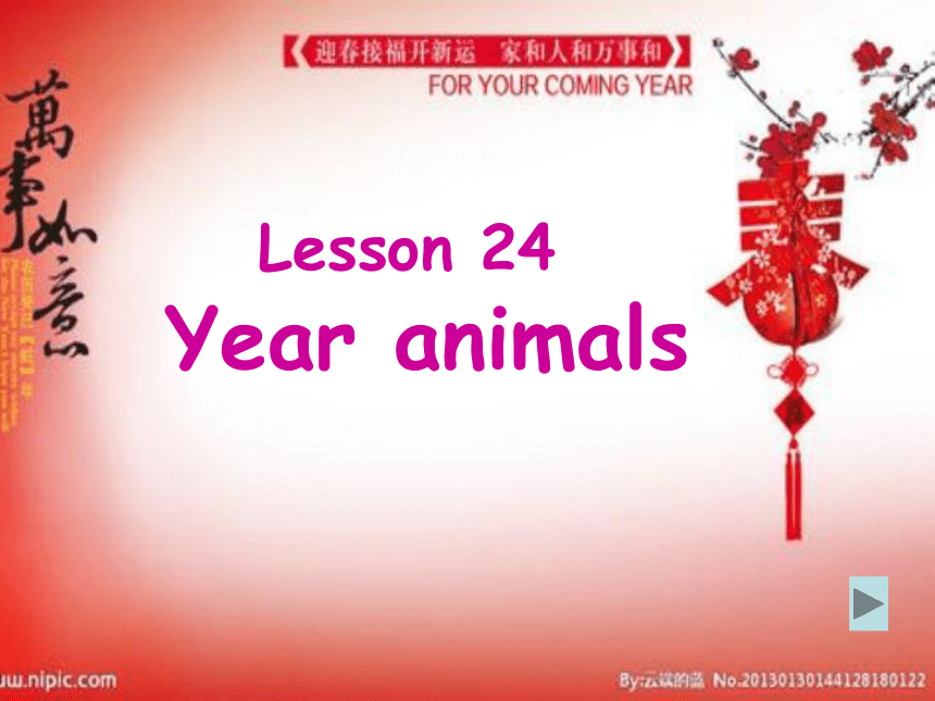 Unit 4 Jenny and Danny Come to China Lesson 24 Year Animals课件（共19张PPT）