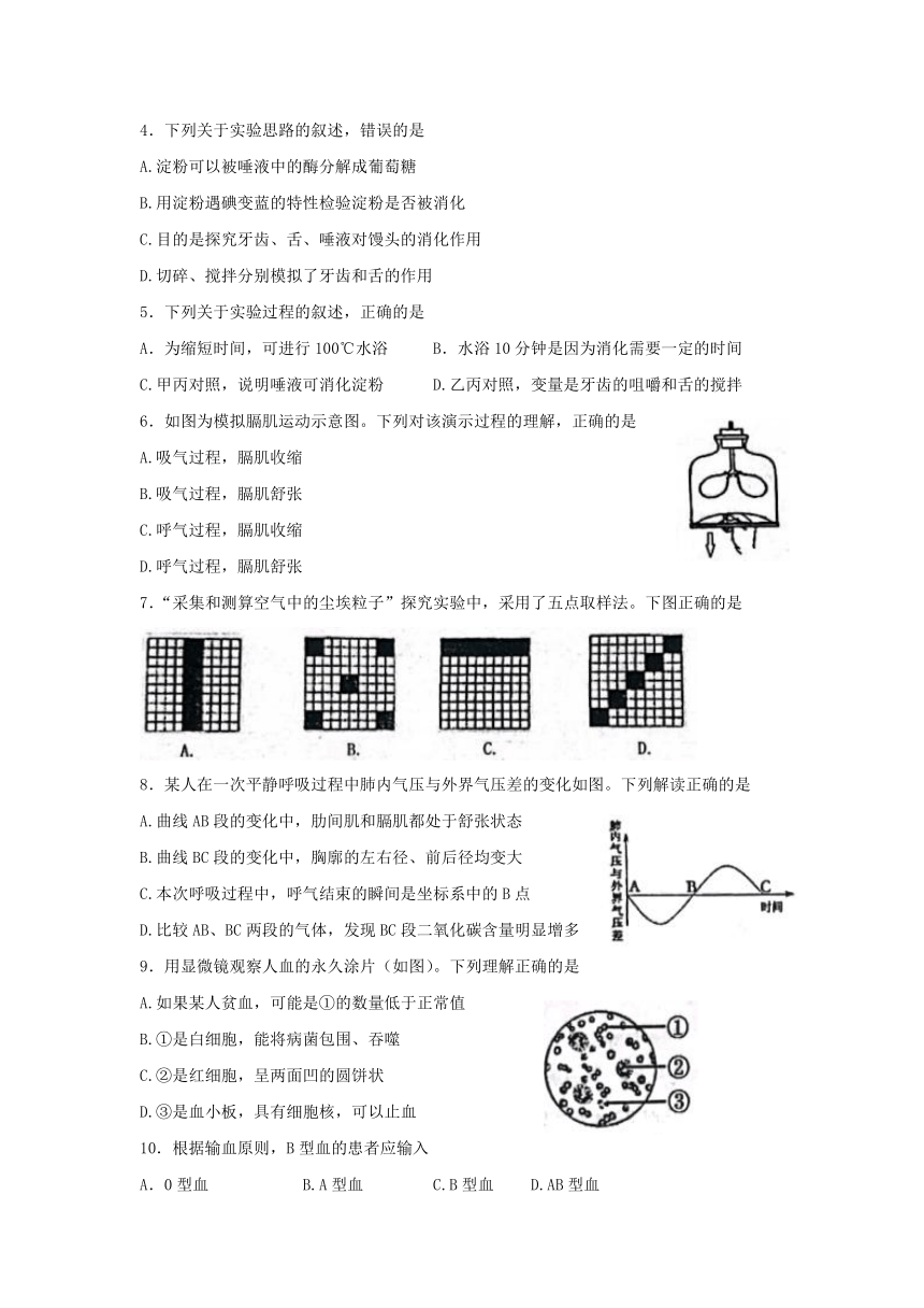 山东省泰安市东平县（五四学制）2021--2022学年七年级上学期期末生物试题（word版无答案）