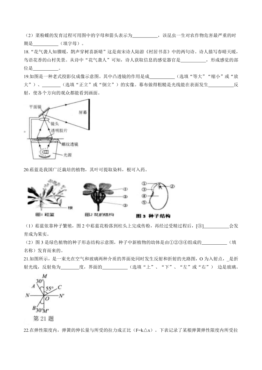 浙江省湖州市长兴县实验中学2023-2024学年七年级下学期4月期中科学试题（到第2章，含答案）