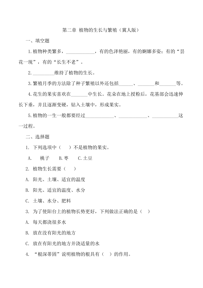 2023-2024学年四年级科学下学（冀人版）第二单元 植物的生长与繁殖（含答案）