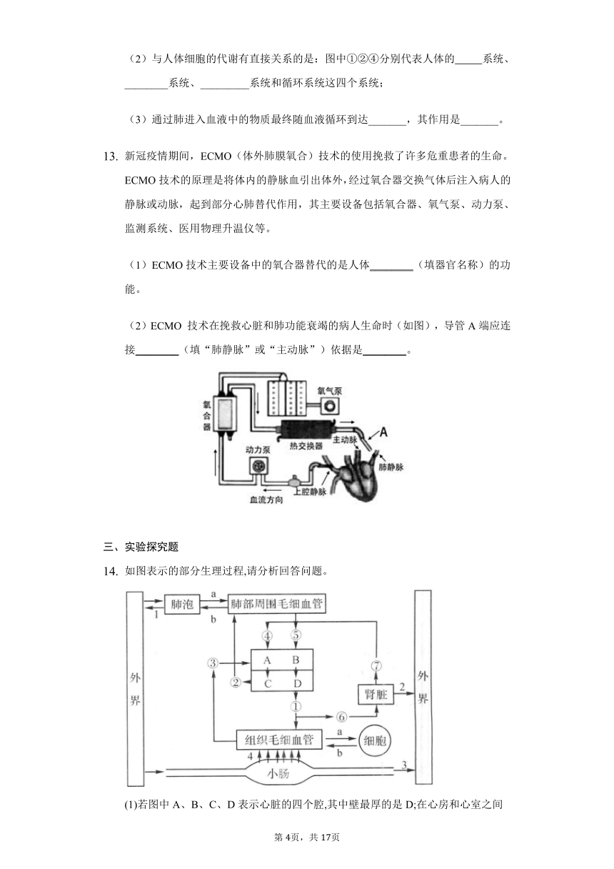 华师大版科学八年级上册5.2人体的呼吸 同步练习（含解析）