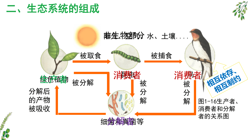 人教版2022年1.2.2  生物与环境组成生态系统 （共2课时，28页）