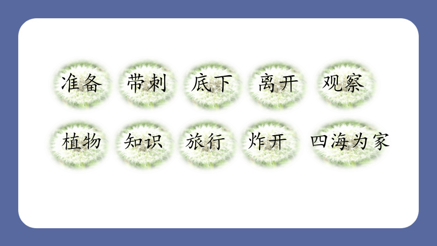 3.植物妈妈有办法   第二课时(共35张PPT)