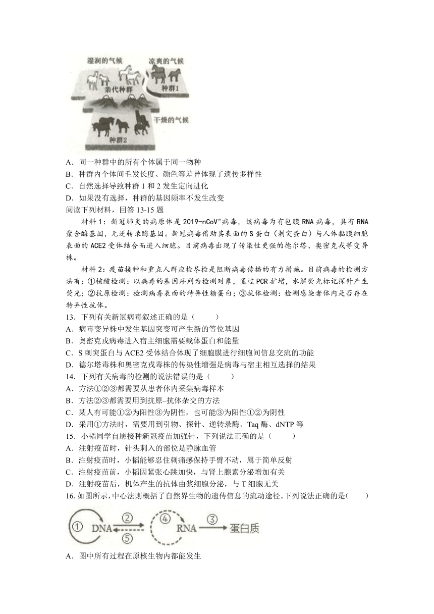 浙江省温州浙南名校联盟2021-2022学年高二下学期期末联考生物学试题（Word版含答案）