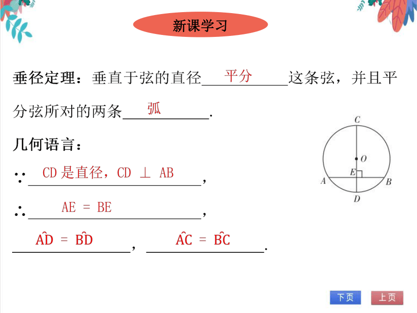 【北师大版】数学九(下)3.3.1 垂径定理 同步练习本（课件版）