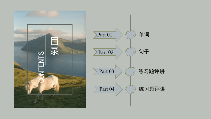 Unit 6In a nature park单元复习课件(共36张PPT)